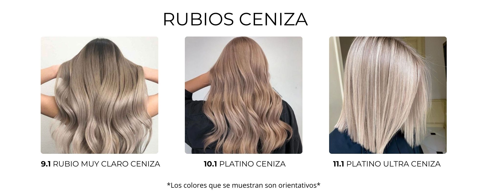 Diferentes tonos de rubio ceniza 